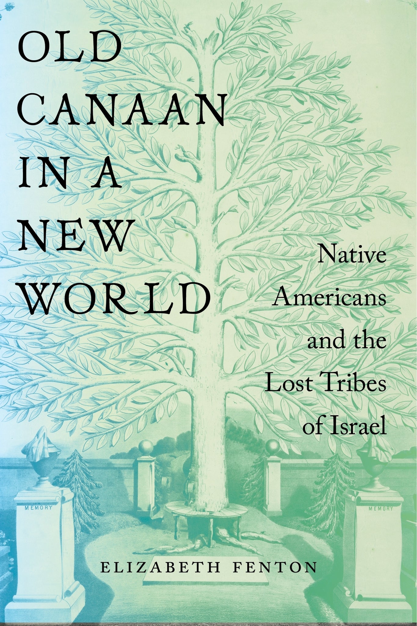 Cover image for Old Canaan in a New World ISBN 9781479820481